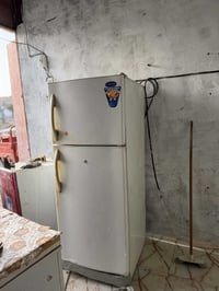 كونكورد لبناني • ١٦قدم • شرط التجميد