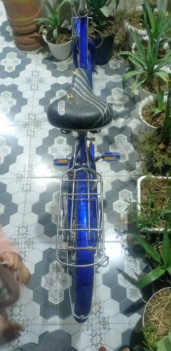 بايسكل للبيع مكاني بابل المحاويل سعرا 90جديد ستخدام قليل


**إذا كنت صاحب هذا الإعلان وتريد حذفه لأي سبب، رجاءا أرسل رسالة إلى الدعم الفني**