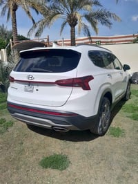 سنتافي • ٢٠٢٣ • ضرر يمين