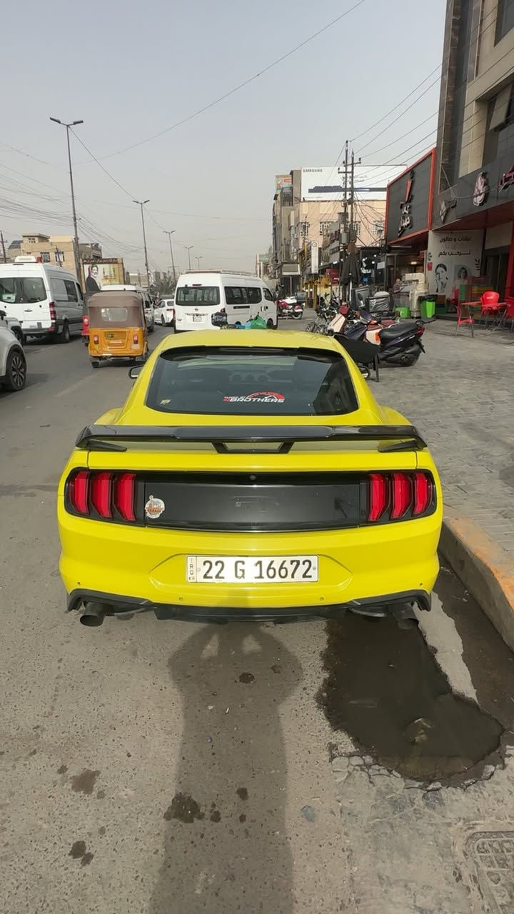 موستانك GT موديل 2016 محدثه 2022 ماك وان ✋
السياره ماشيه 59 ✅
صدر امامي خلفي جديد ✅
تبريد جديد ✅
عليها ويل nich✅
عليها لايت متغير وعين الشيطان ✅
برمجة القوي طلال ✅
كير مكينه اكسل مكفولات ✅
عليها اكسل تراك بكج ✅
السياره صور حادثها بلمنشور ✅
السياره تغيير لون وقبل 3 ايام طالعه من الفرن ولسياره هواي ✅صارف عليها
مكاني بغداد حي أور ✅
السعر 147 بيها مجال ✅
✅***********
