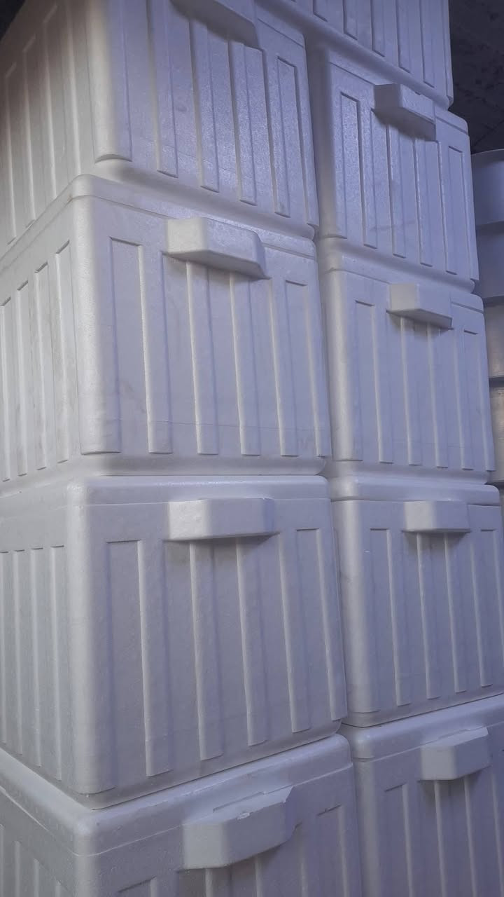 💥🔥استمتع بأجواء باردة طول اليوم مع الصندوق السحري
💥🔥👈حافظة فلين للبارد والساخن ابيض كبير/ حبة

✅صندوق و حافظة الاكل و الشراب بارد او ساخن
✅يستخدم  لحفظ الطعام وعلب العصير .
✅سهل التركيب 
✅معزول خفيف الوزن محمول و مقاوم للماء ✅الافضل للرحلات ، النزهات ، التخييم ، الشاطئ ، الصيد ، ركوب الزوارق Chill Chest 
#حافظة_برودة_حرارة #حافظات_طعام
#حافظة_عصير #حافظة_الأكل 
العنوان // هاشميه مقابيل مجمع الامير لانشائيه
يتوفر توصيل 
***********
