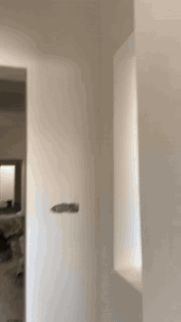 البصره • بخ • مخمر