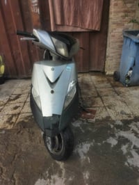 ثعلب • نضيف • الغزالية