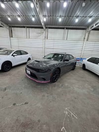 🌹🌹تحية طيبة🌹🌹 جارجر 2023 خليجي وكالة هارلم  جيتي فول الفول GT بلاص  كف...