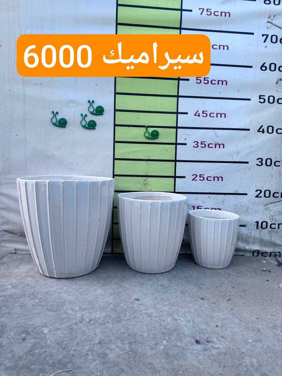 اللهم صلِ على محمد وال محمد 

✨ أضف لمسة طبيعة وأناقة لحديقتك ✨
تشكيلة مميزة من سنادين الفخار والنافورات بتصاميم عصرية وكلاسيكية تناسب جميع الأذواق 🌸💧
جودة عالية • تفاصيل متقنة • أسعار مناسبة

اي حاجة من الطلب ما تعجبكم رجعوها مع المندوب 

التوصيل داخل الحسينية 2000
التوصيل المناطق المجاورة 5000
التوصيل بعض مناطق بغداد7000

توصيل المحافظات فقط مستلزمات زراعية والبذور والبلاستك والجملة 

يتوفر لدينا دفع الكتروني 💳 ماستر كارد رافدين وزين كاش 

✅ عنوان بغداد .الحسينية .نهاية شارع السكلات🫣

🌲زورونا تجدون الافظل

الموقع على الخريطة👇🌐

https://maps.app.goo.gl/3Ekn4CXD6gz8GBEq8

اوقات عمل المشتل   🕖من ساعة 7 صباحاً وحتى الساعة10🕙 مساءً 

🚚يوجد توصيل 

للحجز والاستفسار

***********. 📞لأي استفسار الرجاء مراسلتنا على بريد الصفحة 📩 او الواتساب 📲 أو الإتصال على الرقم

باقي الصور في التلكرام https://t.me/evjifdyiojv
