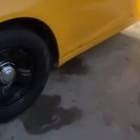 مراوس • مكسيكي • واطي