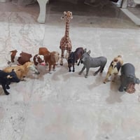 شلايش • عرض • مجموعة