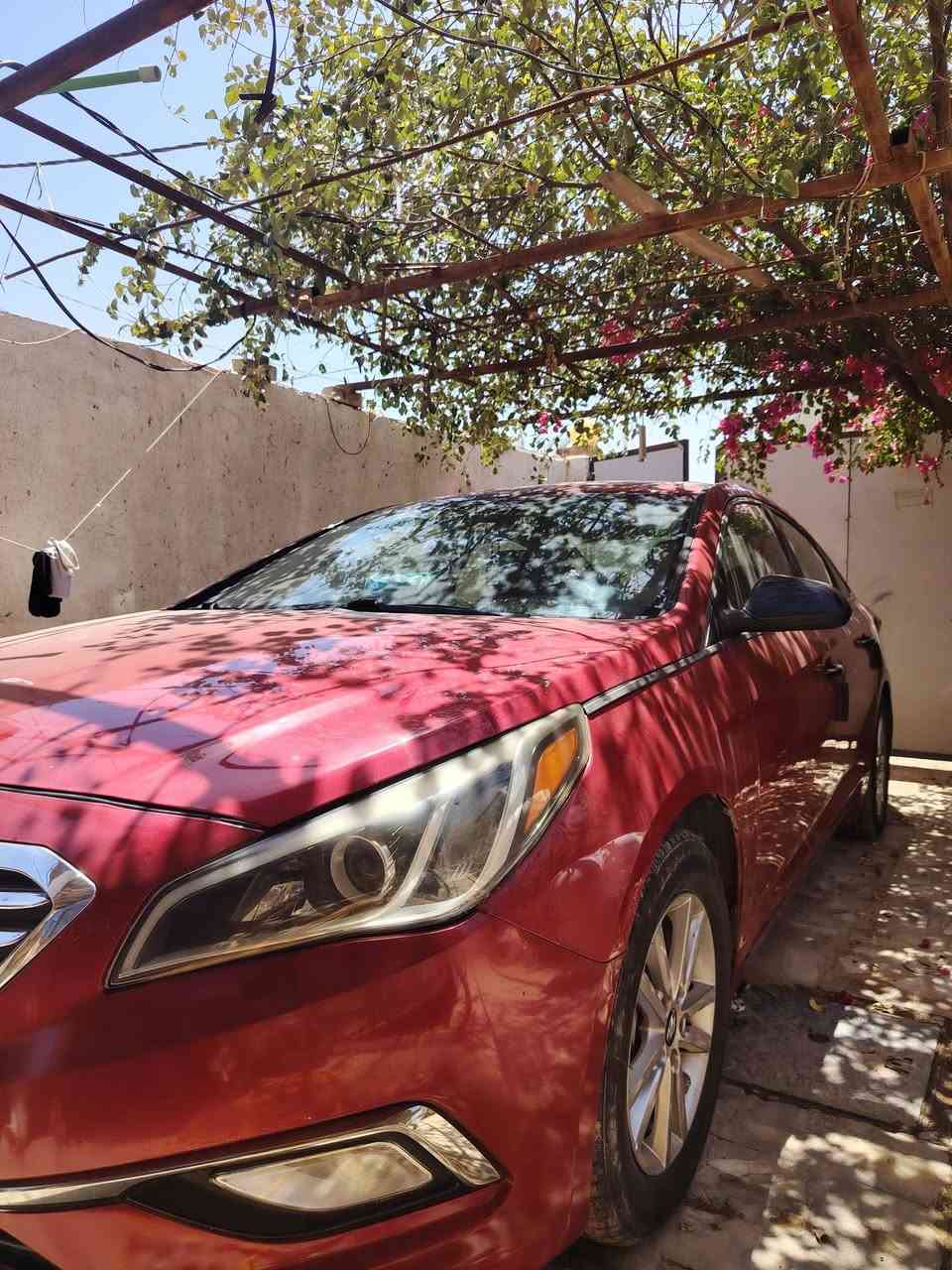 سلام عليكم..
مطلوب خط 4 نفرات  جامعة أو سادس إعدادي
من حي ميسان كون
اي احد معتاز خط يراسلوني مسنجر وبخدمتكم
أو ع الوتساب. ***********
