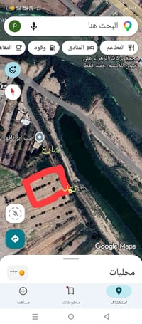 قلعه سكر جسر ناظم • بستان نخل • نخل ١٠ سنوات