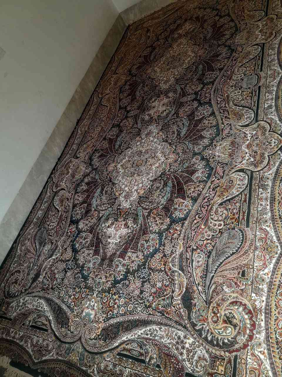 فەرش 700 شانە ئێرانی
لۆک و بێ کێشەیە هیچ دڕاوێکی نییە مانگێک ناوی کڕیومانە
5 مەتر درێژە 2.5 پانە 
***********
250 هەزار و مامەڵە
