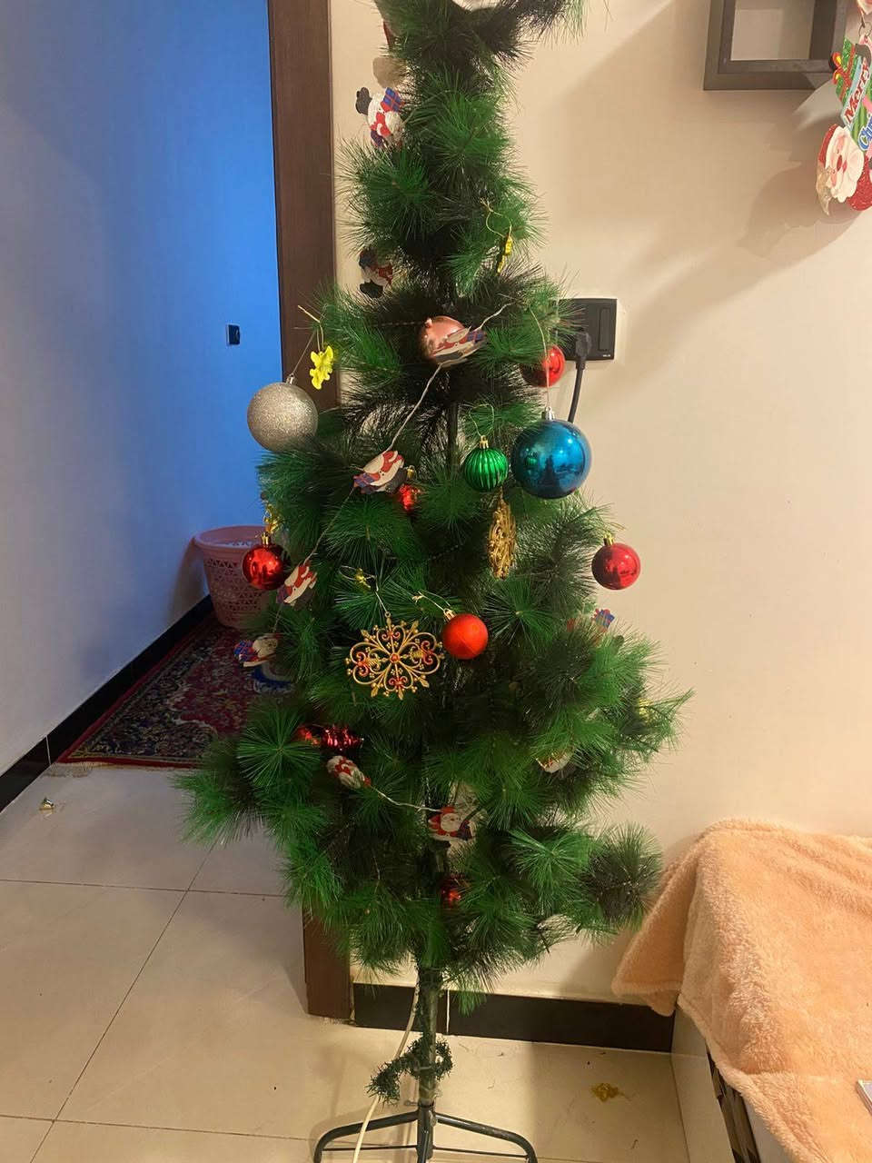 شجره للبيع مكانه الحريه الثالثه بغداد ***********
