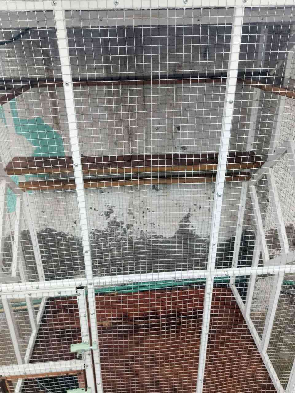 برج حديد سيم بيارسي البيع العنوان
بابل رقم ***********
