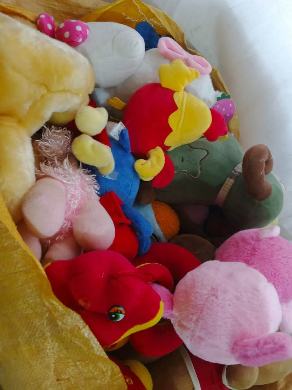 شلفان سوفت دبب مشكل خشن ناعم
100وبي مجال


**إذا كنت صاحب هذا الإعلان وتريد حذفه لأي سبب، رجاءا أرسل رسالة إلى الدعم الفني**