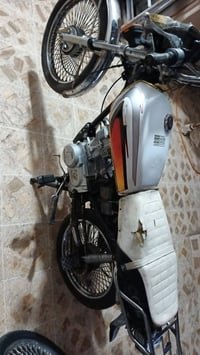 تايجر • ٢٠٢٣ • شغال