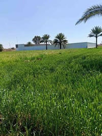 دونم • قريب مستشفى أبو غريب • ما كهرباء