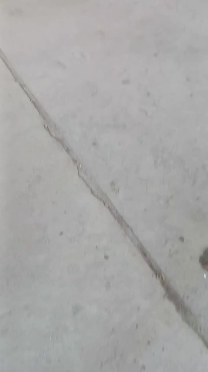 السلام عليكم .سياره .سبورتج موديل 2001. بدون صبغ بلاديه .كير ومكينه كفاله . كهربائيات كله شغاله .رقم .بابل .السعر. 38. بيه مجال قليل. العنوان بابل الحمزه الغربي .الاستفسار..***********
