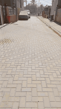 طابو زراعي • ١٠٠م • شارع أحمد الوائلي