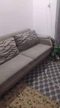 قنفات • مجلس