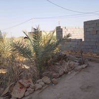 قطعه طابو في الطعيسات للبيع.كافه.الخدمات.في.حي الزهراء.مداور.بل.عجبك.م...