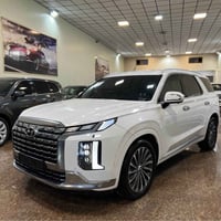 باليسايد كاليجرافي • ٢٠٢٤ • ٢٨٠٠٠ كم