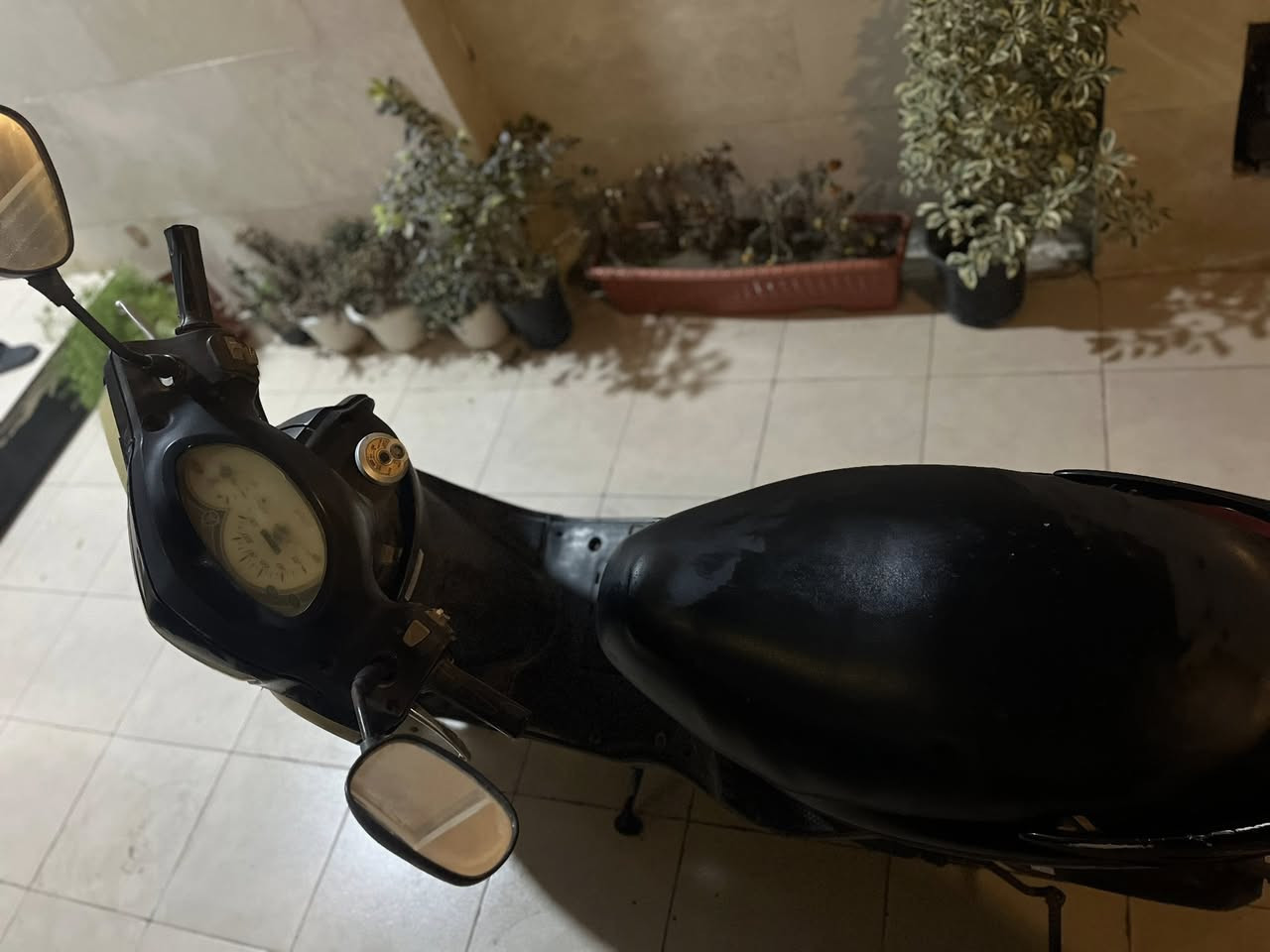 السلام عليكم 🛑🛑سعررر جوه السوووك
للبيع بريز ببغاء اعلى فئه بالبريز  دراجه بيهه لاستيك ولف تعبان يعني تاخذهه لازم تسوي مالي خلكهه عايفهه 

مكاني العامريه 
*********** واتسس موجود 
 

سعررر (300)🛑🛑

 قفل لحد يعاملني عالسعر جوه السوك واريد ابيع سعرهه بالسوك 700 والرمبه مليون و200
