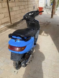 فراشة • جديدة • نجف