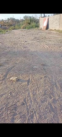 باب الهوى أم البنين • ١٢٠م • سند ٢٥