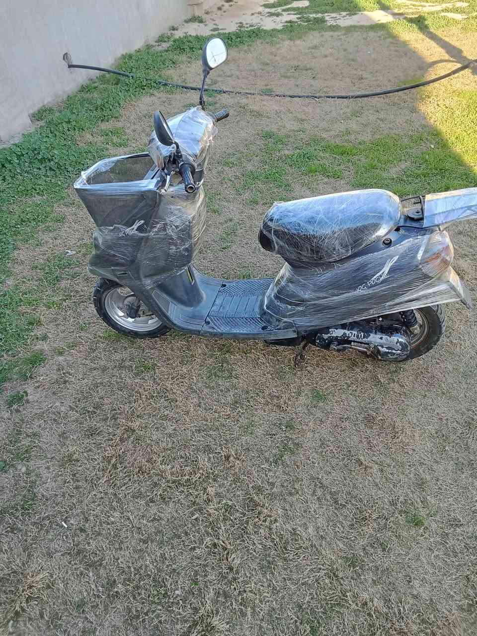 يماها البيع شرط شغال اي عيب ما بي السعر 170 بي مجال مكان كركوك قريت جردغلي ***********
