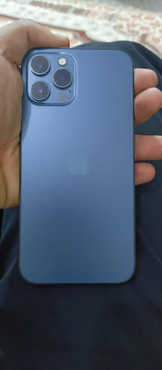 موبيل ايفوان ١٢بروًماكس مكفول وتر ذاكره 256بطاريه ٧٢باقي تفاصيل خاص (لبيع)


**إذا كنت صاحب هذا الإعلان وتريد حذفه لأي سبب، رجاءا أرسل رسالة إلى الدعم الفني**