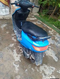 فراشة • فحل • سلف