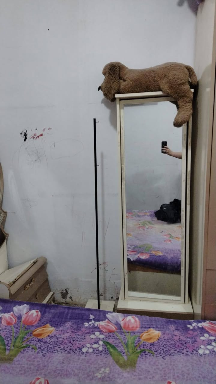 غرفه تركي للبيع نضيفه كلش وسعر 600/ وبيهه مجال/وثلاجة للبيع نضيفه كلش وسعر 200


**إذا كنت صاحب هذا الإعلان وتريد حذفه لأي سبب، رجاءا أرسل رسالة إلى الدعم الفني**