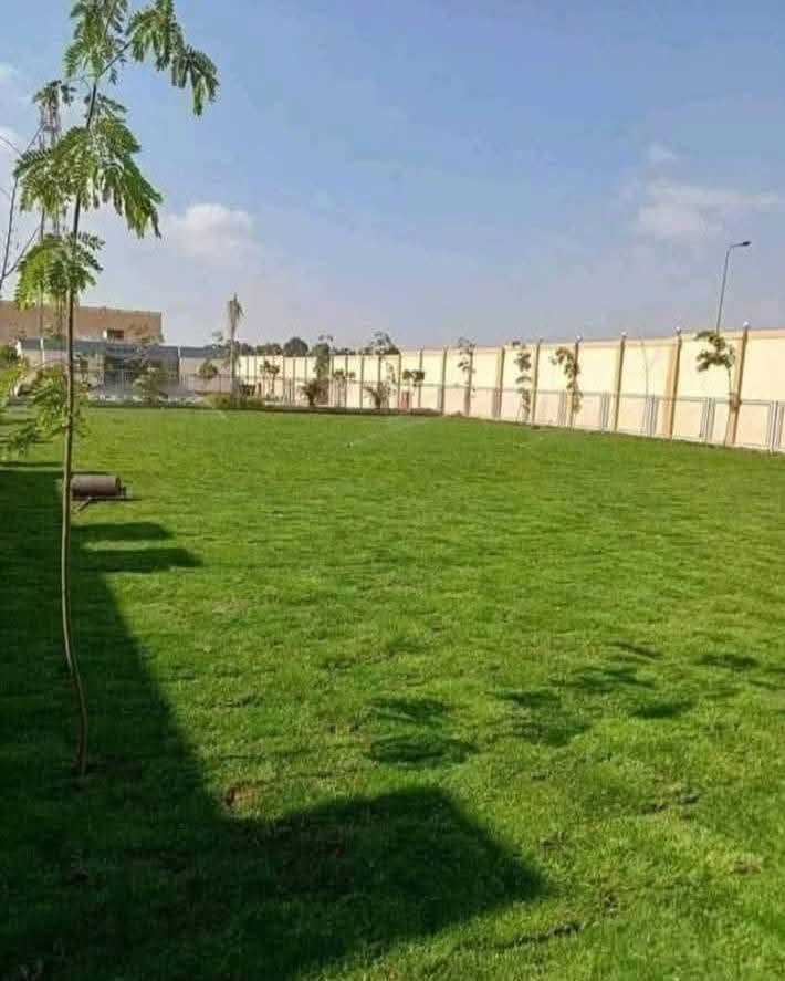 يوجد ثيل درجه اولا بنواعه.المختلفه🌿
تجهيز...👇
مشاتل🌴👇
دوائر حكوميه🏦👇
منازل🏡👇
منتزهات🏄👇
ارصفه.👈...يوجد توصيل في جميع المحافضات🌏وَبّڴمٌيـاتْ مٌٌختْلُفَهہ 
***********
