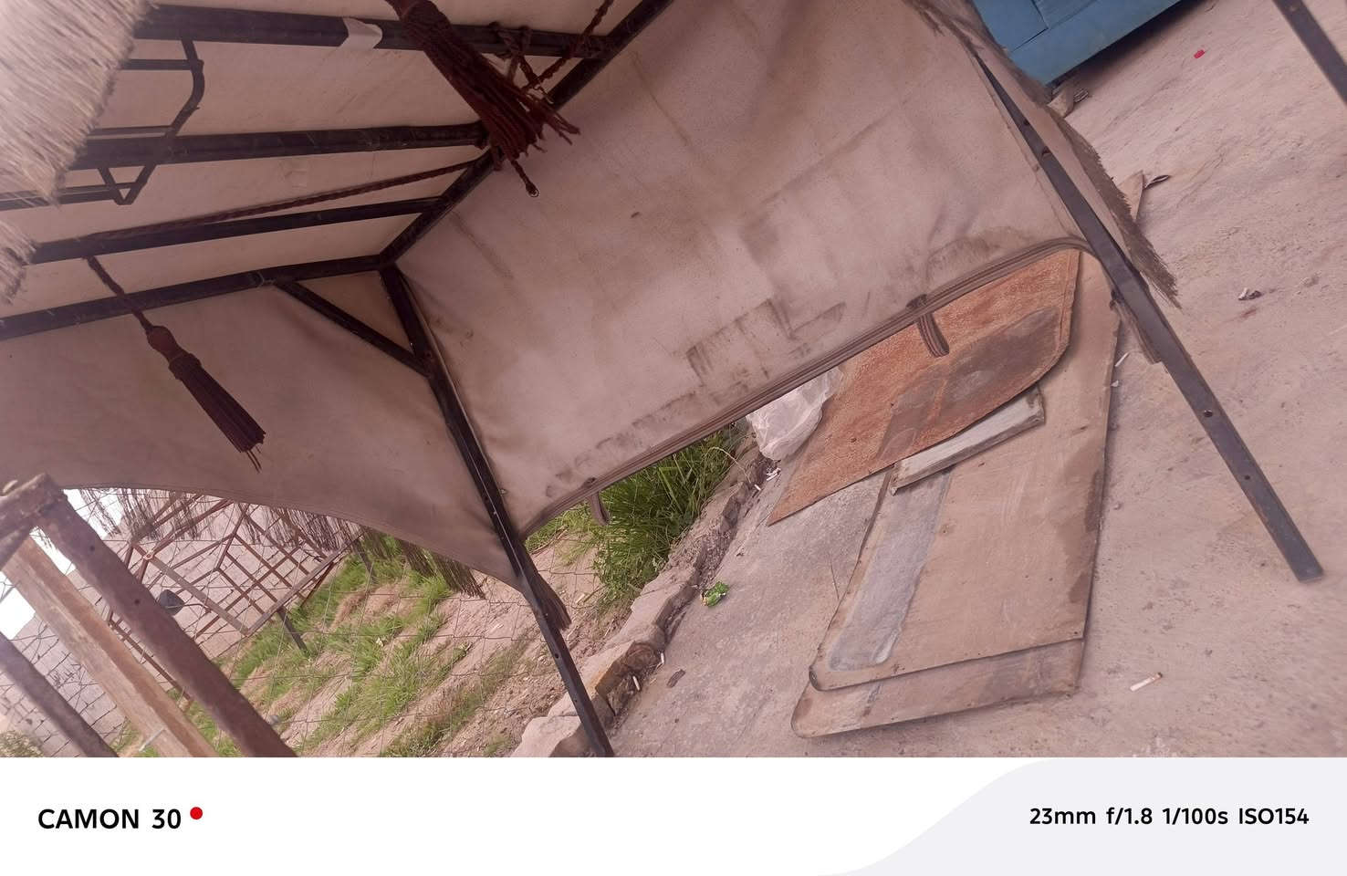 قمريات مل ستوته للبيع وحده مال سلمنيه بس شدهه وحد مال شخوان ولثلاثه هم مرته لسعر منسب***********
