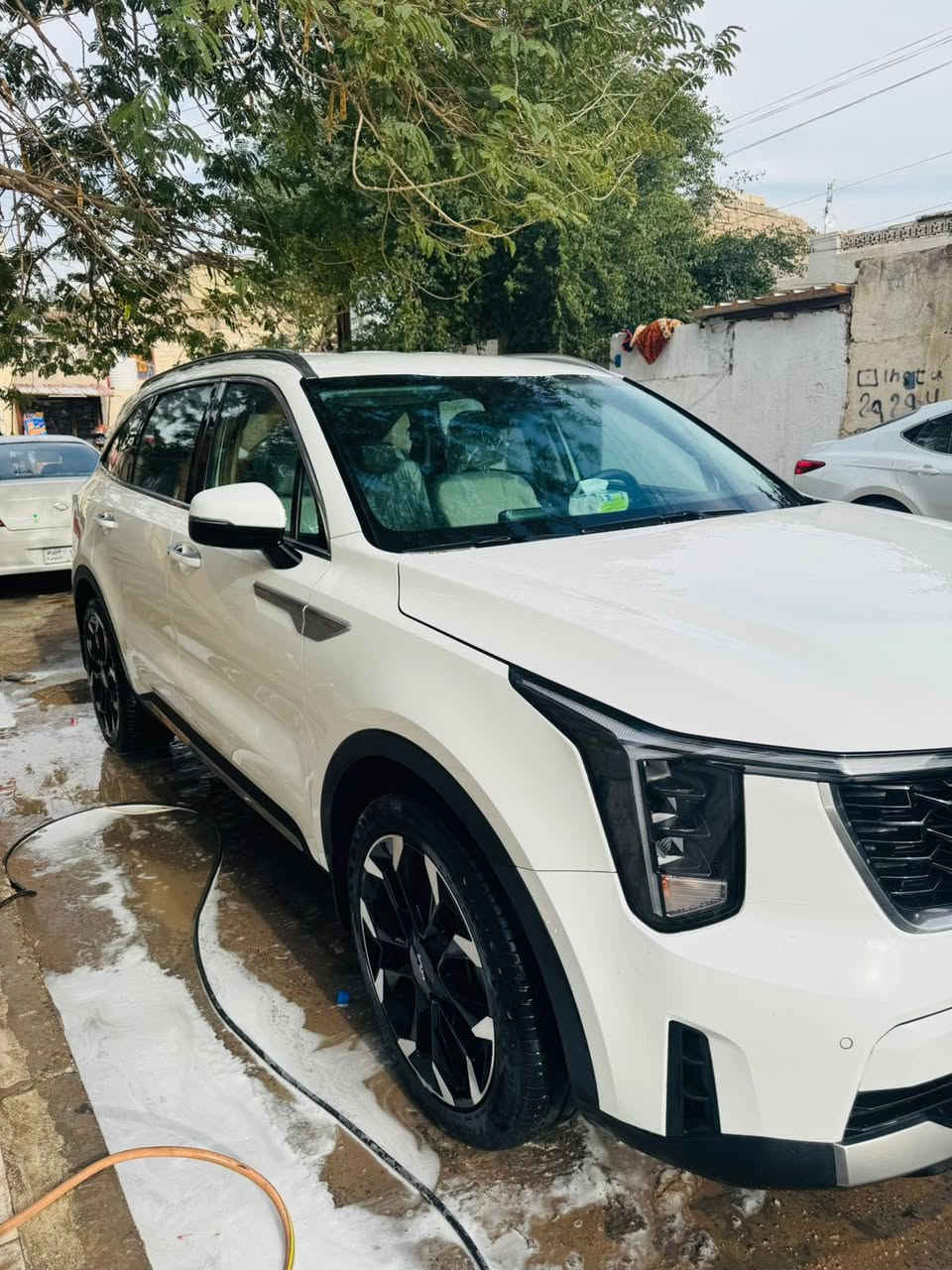 السلام عليكم
مكلف بالنشر
سورنتو 24
4سلندر   خليجي مكفولة نص مواصفات 
 كير كصبه او طرح  والسايد بريك بالرجل ماشية 42 الف رقم اربيل بأسم الشركة 
مكاني بصرة دور النفط
 السعر 265
للاستفسار اكثر
***********
