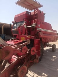 فوركسن • ١٩٩٠ • حميدات