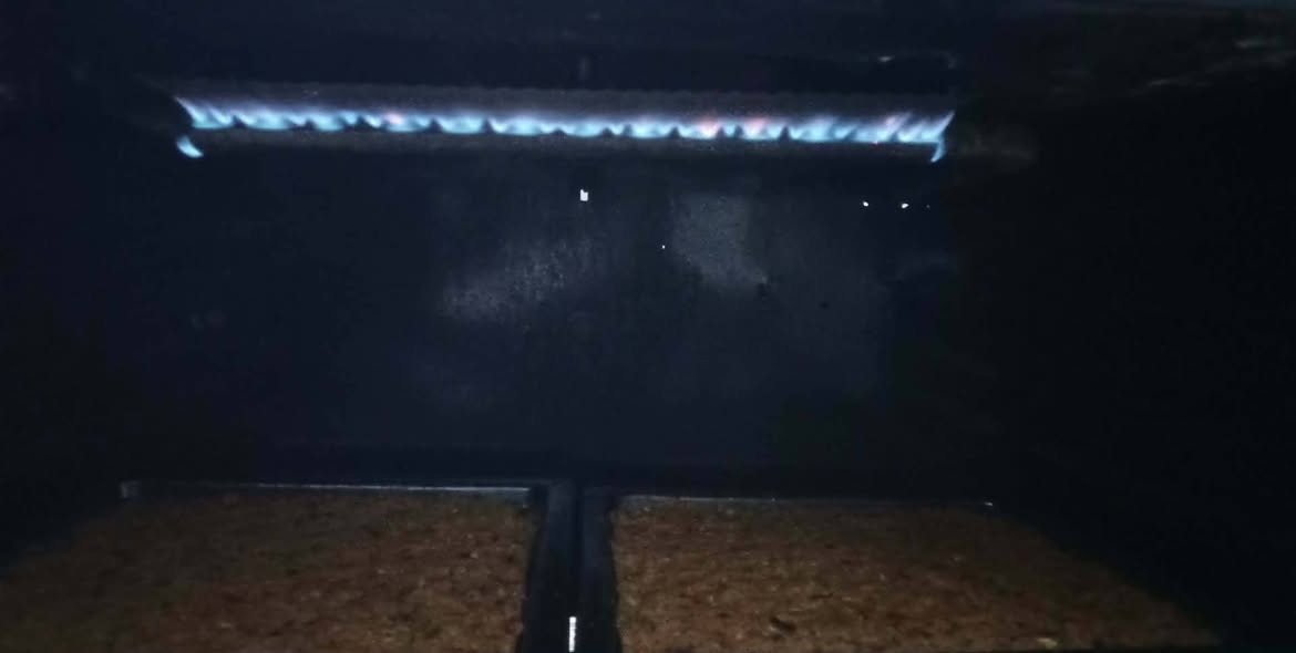 طباخ للبيع اخو الجديد شغال شرط مصري نظام بواري.
السعر 170 الف ..عنوان حي القدس للتواصل خاص


**إذا كنت صاحب هذا الإعلان وتريد حذفه لأي سبب، رجاءا أرسل رسالة إلى الدعم الفني**