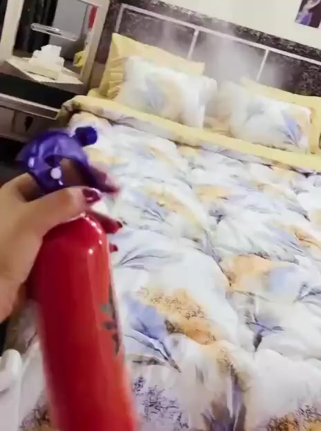 غرفه البيع فقط استبدلت المخزن مال جربايه بصوميات نضيفه جدا وبيها اضرر بسيطة جدا نضيفه


**إذا كنت صاحب هذا الإعلان وتريد حذفه لأي سبب، رجاءا أرسل رسالة إلى الدعم الفني**