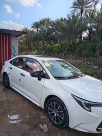 كورلا هايبرد • ٢٠٢٥ • رقم بغداد