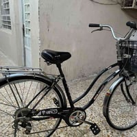 باسكل بناتي • نضيف • المشتل شارع مطبك