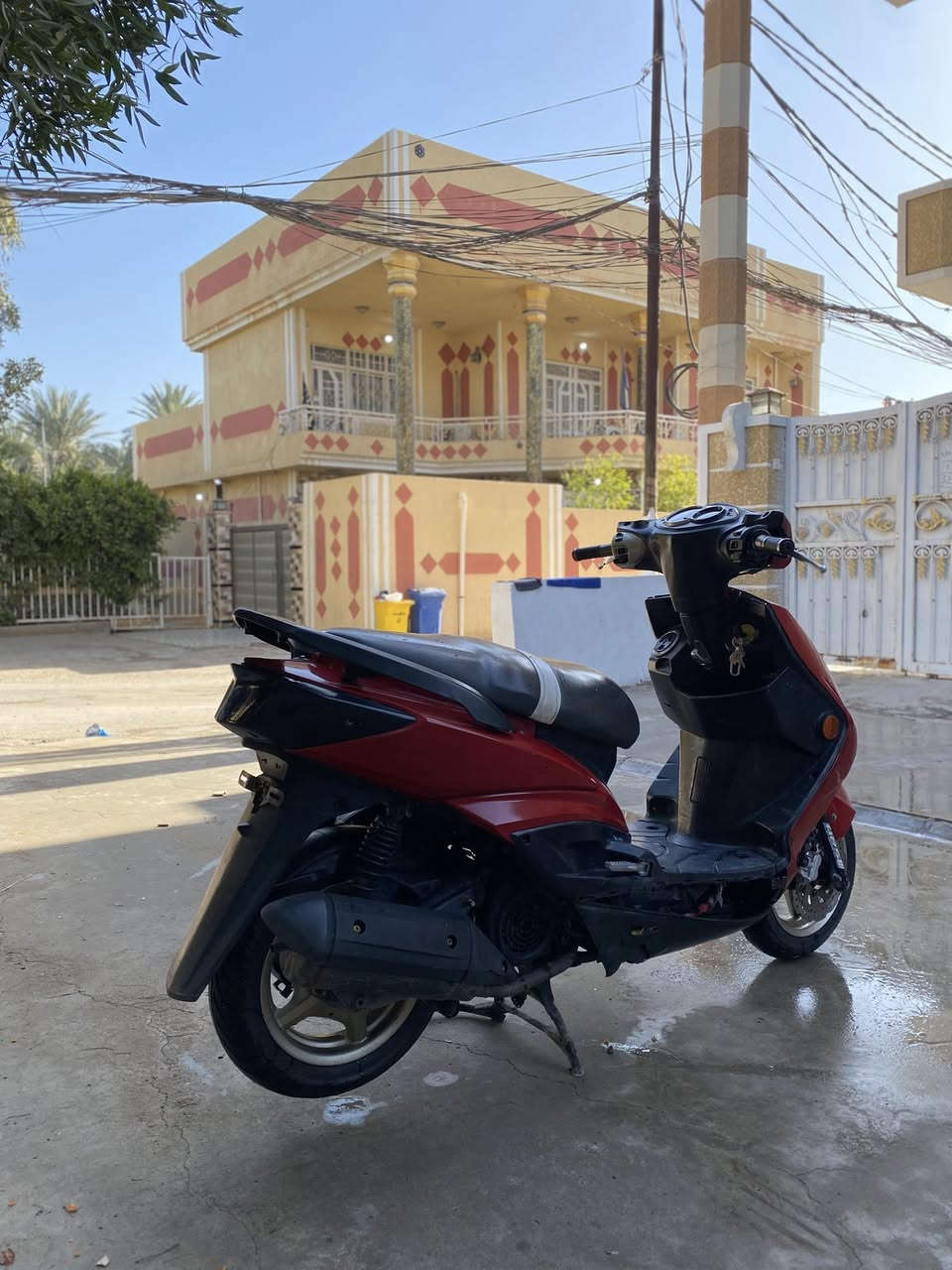 السلام عليكم سكنس فحل الدراجه ما بيها نقص بس تريشه اليمنه طارت من دمشي  دراجه مكفوله عليها ستان رياضي وسلف رياضي مال مكاين كبار بس ما اعرف بوشتها لان ما مفتوحه ♥️ السعر خاص 
ديالى بعقوبه :***********
