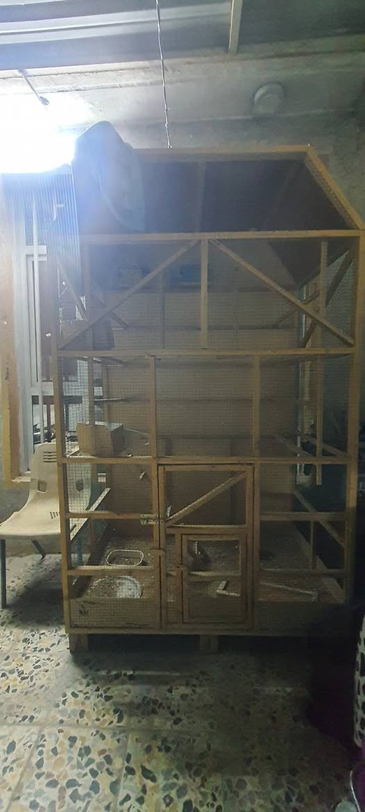 قفص طيور وبلابل للبيع السعر ١٠٠ ألف وبيه مجال الاستفسار على الرقم ***********
