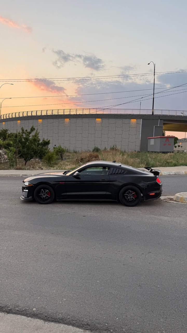 Mustang 2020 
بونيد صبغ جاملغ + باب جهة النفر تبديل شركه بدون صبغ وبدون دواخل بدون ايرباك ماشيه 77 مايل 
كير مكينه بشرط بدون فتح وبدون نفخ 
سياره على ايدي ومعروفه السياره بنضافتها وجمالها 
عليها شوته روش 
عدادات ديجتال 
كوشنات خزن ميموري 
تحكمات ستيرن 
مودات سياقه 
نقطه عميه بالمري 
دمام خلفي داخل الصندوق 
بك لايت سموك 
مسطرة HURST بالعراق كلها مموجوده 
سبايدر خلفي سياره مواصفات خاصه من امريكا مملعوب بيها نهائياً 
سياره كلها بلادية بدون اي نقص 
سعرها 185$ بيها مجال بسيط 500$ غرامات 
*********** 
الشراي يتصل ويتدلل دهوك, العراق
