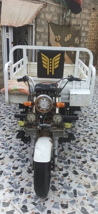 ستوته • دايون • 2020