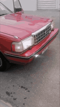 للبيع السعر ٦٥ مع المجال مصبوغة للجماليةباسمي رقم انكليزي. اتصال ***********
