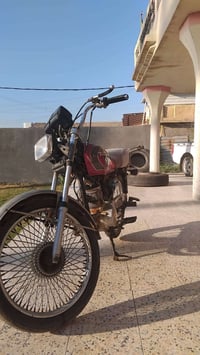 موديل 2020 • الشجيرية • مجال للطيبين