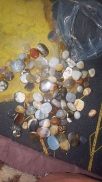 العدد ١٠٠ • مع التوصيل