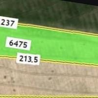 حولي العلم • ٥دونم • طابو زراعي