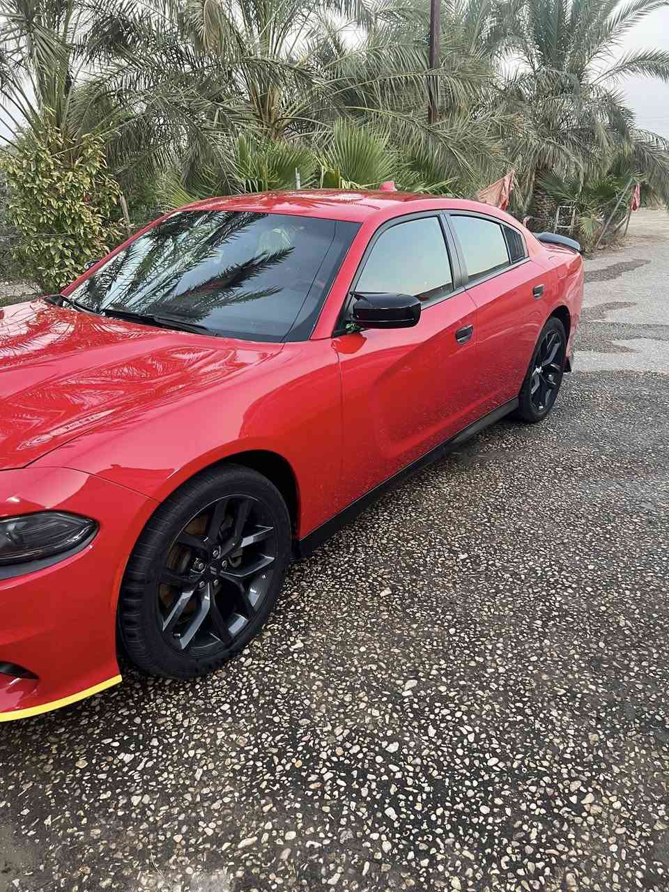 السلام عليكم للبيع جارجر اصل 21 GT السياره ماشيه 24 فقط السيارة سوبر تراك باك ظررها واظح كدامك السياره مكفوله من كلشي مكينه كير حداديه تبريد طخم تاير كله بالظمان والشرط بيها رصعه بسيطه بالقماره بكد جف اليد بسبب تحميل السعر 235 . *********** غير متواجد ع الفيس
