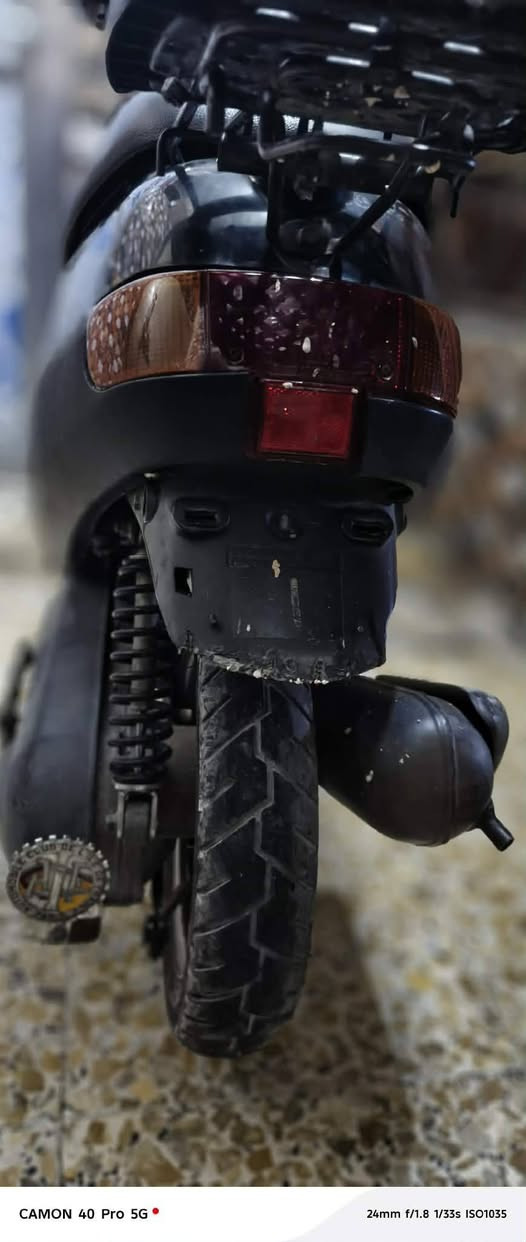 سلام عليكم دراجة بطه للبيع امنةالله دراجة نضيفه برغي مامفتوح بي دراجة كلش نضيفه محتاج ومستعجل على بيعته للستفسار اتصال على رقم ***********
