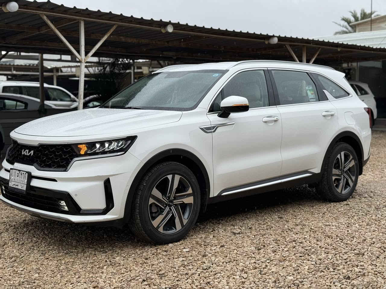 للبيع سورنتو ٢٠٢٣     خليجية 
رقم بابل معرض الوطن لتجارة السيارات الحديثة
محرك ٦سلندر كشنات كهرباء جنطه كهربائيه 
بصمه شاشه جبيره كامره وحساس ويل كروم لايت لد عدسات كير ماوس ماشيه ٣٩)لف 
بيها سونار مرفق بارد باب وجاملغ 
السعر٢٦٧ورقه وبيها مجال
***********
